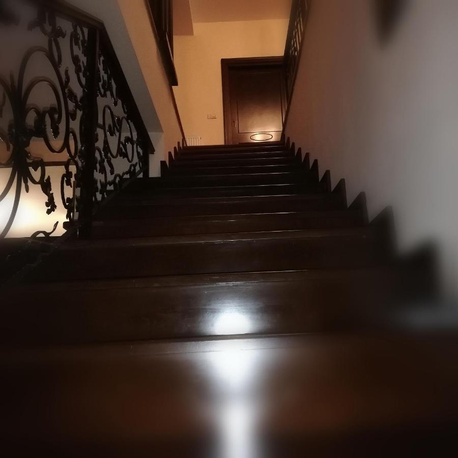 Апартаменты Penthouse Renasterii Amazonia Тимишоара Экстерьер фото